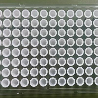 Sterilized 96-well n 384-well Standard PCR Plate