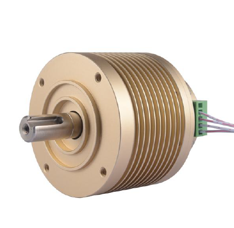 BLDC Servo Motor