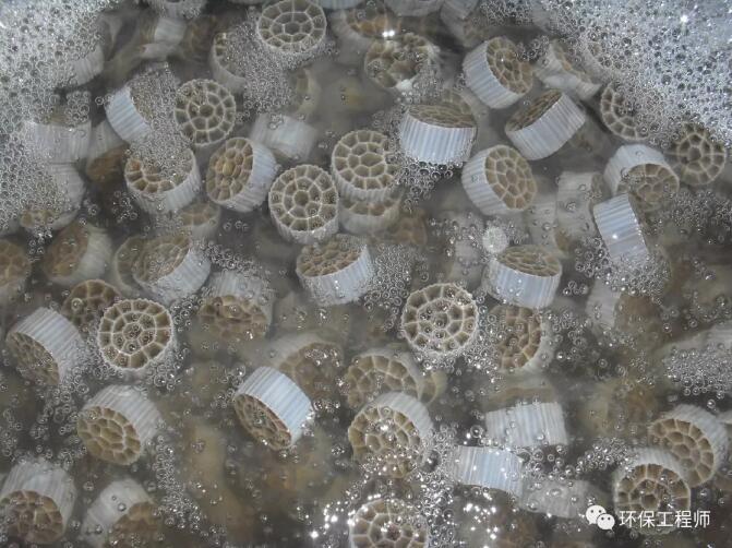 Biofilter