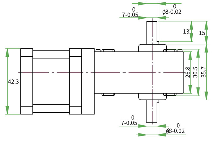 Dual shaft worm gear stepper