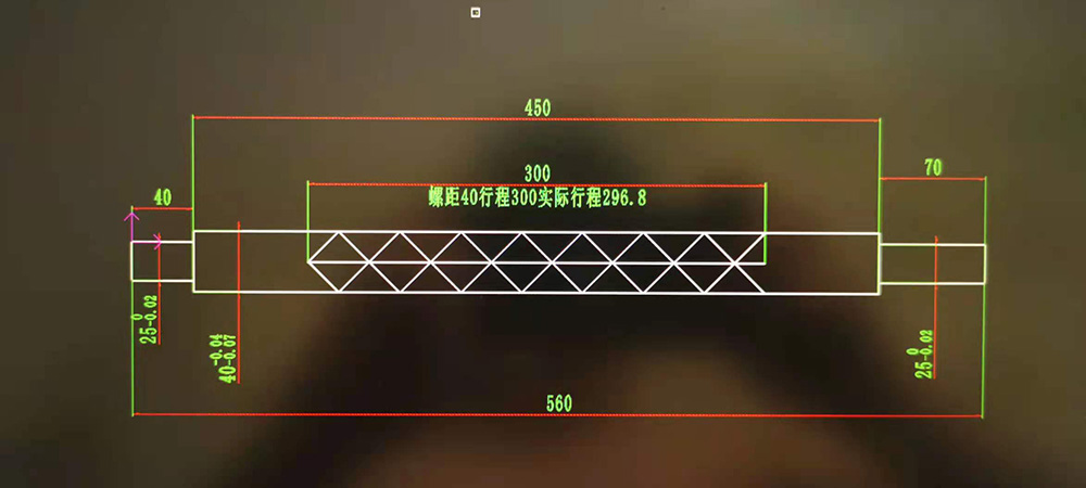 reversing screw