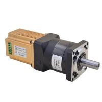 BLDC servo motor with built-in driver and planetary gearbox