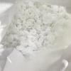 Standard MBBR Media K-Series for Biological Filtration